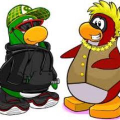 Hey Everyone Its Rockman113 And Club Penguin Kinda Made Me A Back Up Moderator.
And I Make Videos For YouTube.
And U Can Add Me On The Server Sleet Everyday.