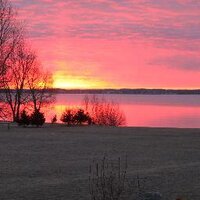 Lynda Crothers (@scubadiver5) 's Twitter Profile Photo