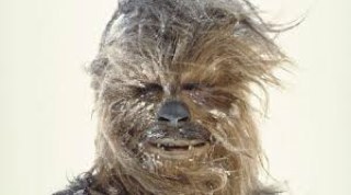 SocialBebedor's profile picture. Observador ,critico me molesta la injusticia! y la gente maleducada ,admiro a las mujeres inteligentes