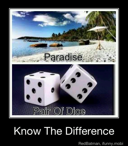 KnowTheDiffs's profile picture. Come here for your Know The Difference memes!