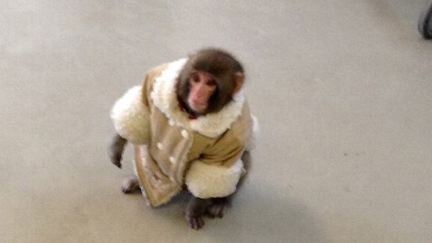 AneilHussein's profile picture. 