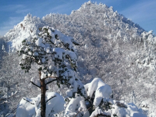 설악산을 사랑하는 사람