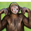 conor mcguinness - @mcguinness212 - Twitter