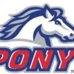High Point Pony Profile