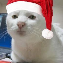 AntiLaughCat Profile Picture