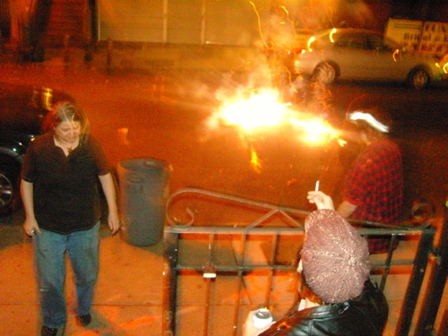 atrobotti's profile picture. one curious cat