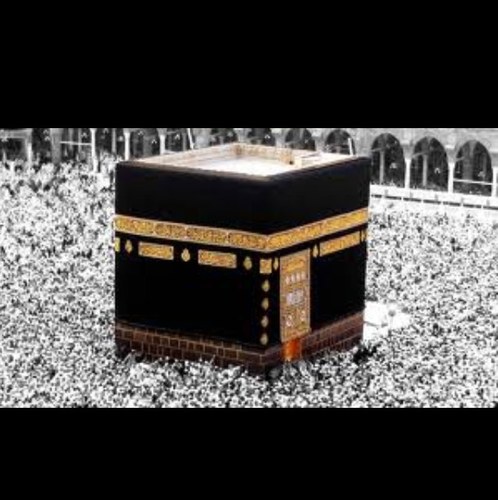 YHarfi's profile picture. 