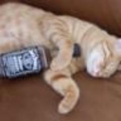 GurPoo's profile picture. 