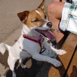 ian_croston's profile picture. 