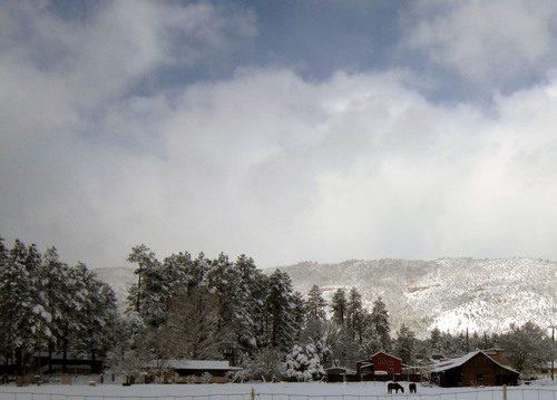 Pine/Strawberry, Arizona. A great place to appreciate nature and relax!