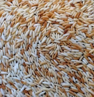 Andreacprp's profile picture. Psychanalyse-ciné