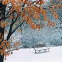 Noureen Ali - @Noureenali68 - Twitter