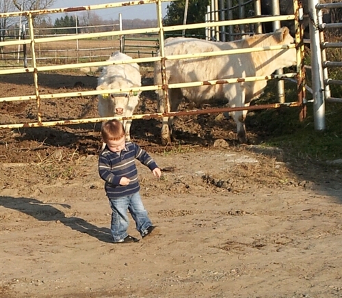 brendenholmes's profile picture. 