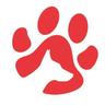 gsrescueelite's profile picture. German Shepherd Rescue Elite (GSRE) is a UK based dog rescue with a team of dedicated volunteers with many years experience of the breed & rescue work