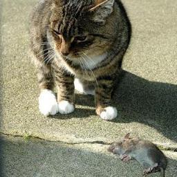 seoulcitylive's profile picture. 