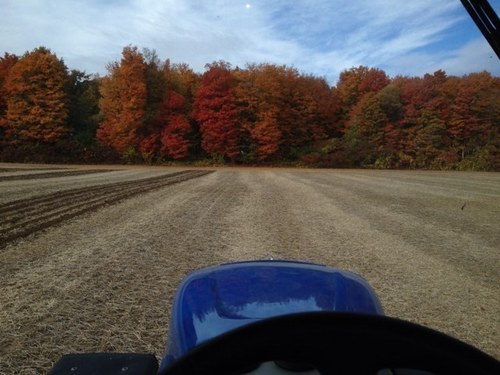 Third generation cash crop farmer, Strip till corn, Notill beans.