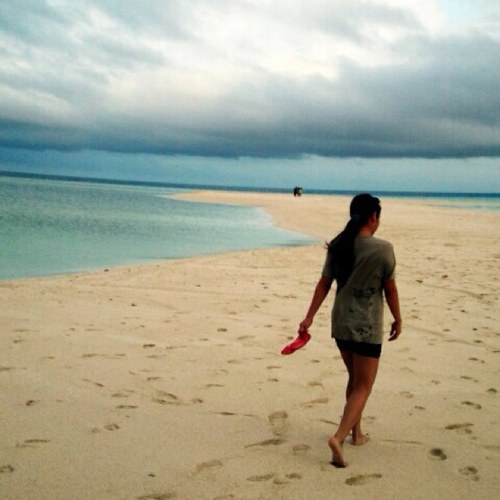 fallpurplestars's profile picture. Small steps towards our big dream :))