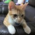 Casey Huang (@casey0521) Twitter profile photo Casey Huang (@casey0521) Twitter profile photo
