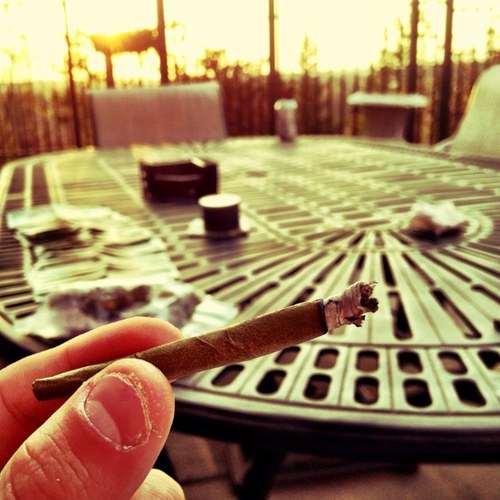 The life of a true stoner #StonerFollowBack 
#GBSeason