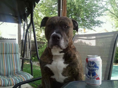 03xb9r's profile picture. 