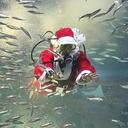 Robert rodden - @bugtarget67 - Twitter