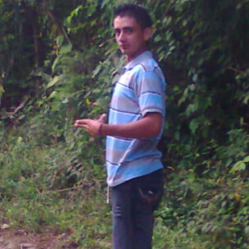 Luisitoalfred's profile picture. 