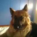 di donna alfonso - @didonnaalfonso - Twitter