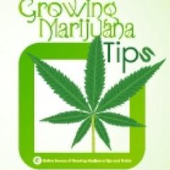 http://t.co/meDofT3J provides free tips and guides on how to grow medical marijuana. Cannabis seeds information, growing weed eBooks, and tools reviewed.