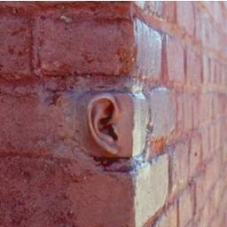 ParedesOye's profile picture. Hijo, hermano y nieto, lector apasionado; siempre en busca de la verdad. Abogado de profesión, creyendo que la sabiduría esta al alcance de nuestras manos
.