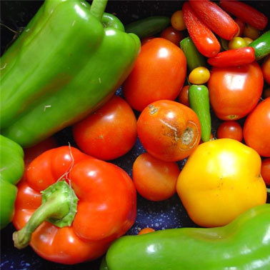 healthtips4all1's profile picture. Daily health quality information