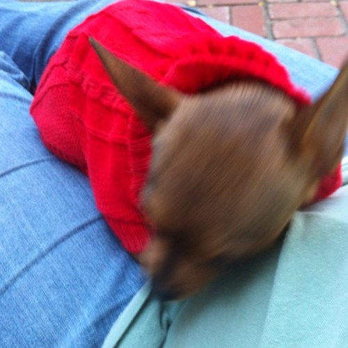 reenelliott's profile picture. Retired RN, Democracy first and foremost My wife and family are everything. Views are mine. We must speak out to save our USA!