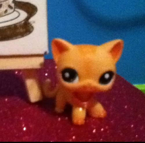 baileybluesmile's profile picture. hey everyone :) its lpsinc thats just a quick way hehe :) (LittlestPetShopINC) :) theirs not a space in my youtube