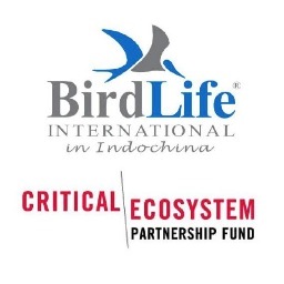 BirdLife International acting as the CEPF Regional Implementation Team to ensure civil society is engaged in biodiversity conservation in Indo-Burma region
