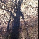 Peter Lanza - @planza29 - Twitter