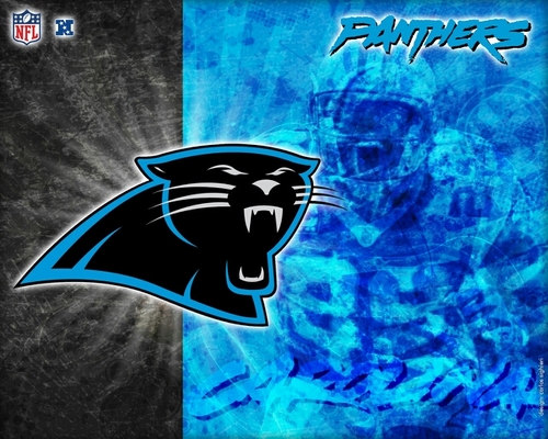all panthers, All the time! #PanthersNation