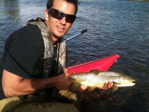 TrainLincoln's profile picture. 