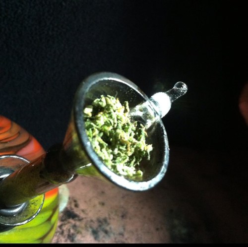 ✌We are here to get high, share our high, embrace our high, and enjoy our high together.✌ 

#Marijuana #tetrahydrocannabol #bongz #bowlz #bluntsnthings