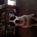 Ralph Gray - @Ralph1953 - Twitter