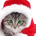 Beth Sherman - @sherman_beth - Twitter