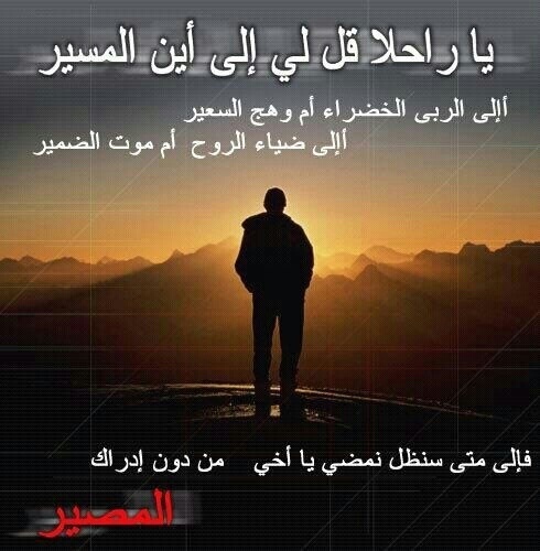نقرتين لعرض الصورة في صفحة مستقلة