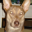 Che Smith - @ElPerroChe - Twitter