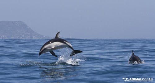 edwardmanct's profile picture. 