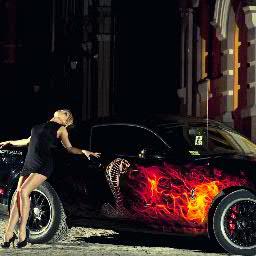 19sanek19's profile picture. 