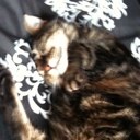 Gemma Brooks - @glb3583 - Twitter