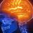 BrainMeatTweets's profile image