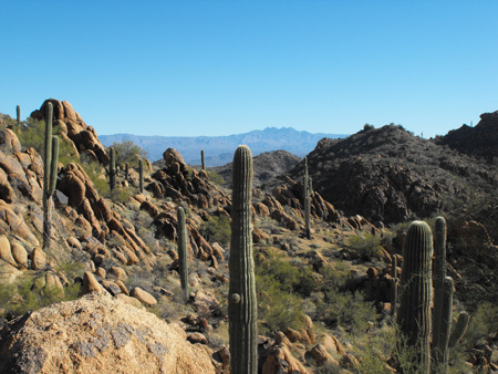 DBrew's profile picture. sailor, beer drinker, hubbie, dad