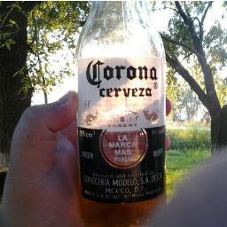 Licenciado en cosas.