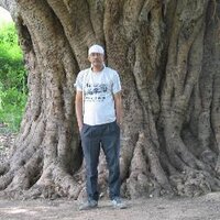 Kamesh (@gkamesh) 's Twitter Profile