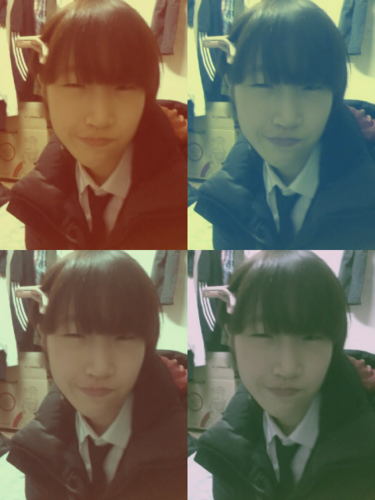 SDcardY's profile picture. 