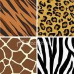 Tabletopia's profile picture. 